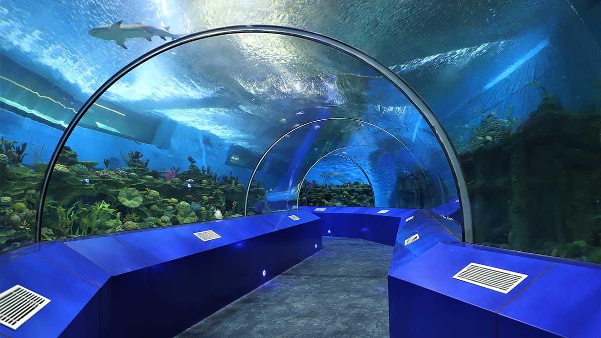 Interactive galleries at Gujarat Science City