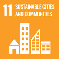 SDG 1