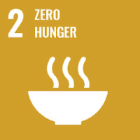 SDG 1