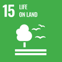 SDG 1