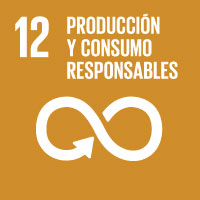 SDG 1