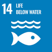 SDG 1