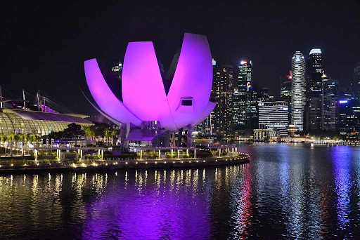 ArtScience Museum, Singapore