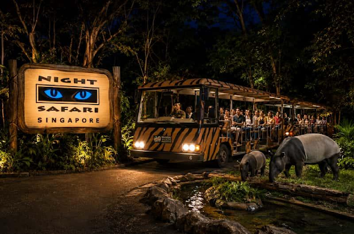 Night Safari Singapore