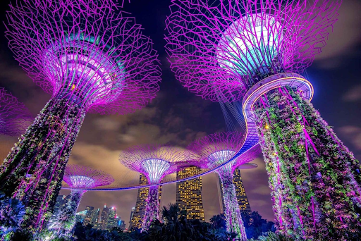 Gardens by the Bay, Singapore