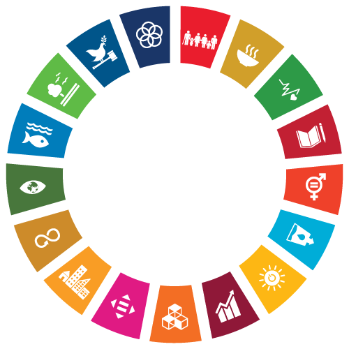 SDG Wheel