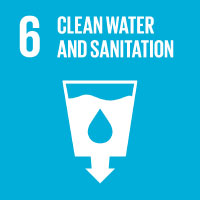SDG 1