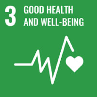 SDG 1